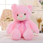 LED Light Up Plush Teddy Bear – Color Changing Soft Toy Gift