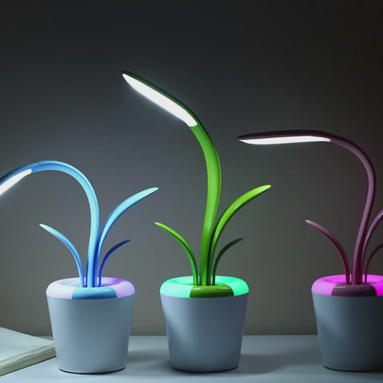 Video of Plant shaped night lamp