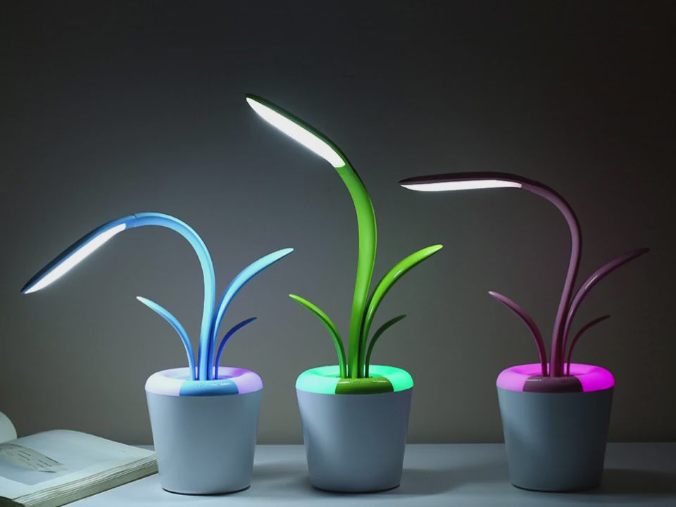 Video of Plant shaped night lamp